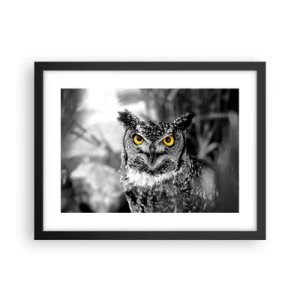 Poszter fehér keretben - Semmi sem fog elbújni - 40x30 cm