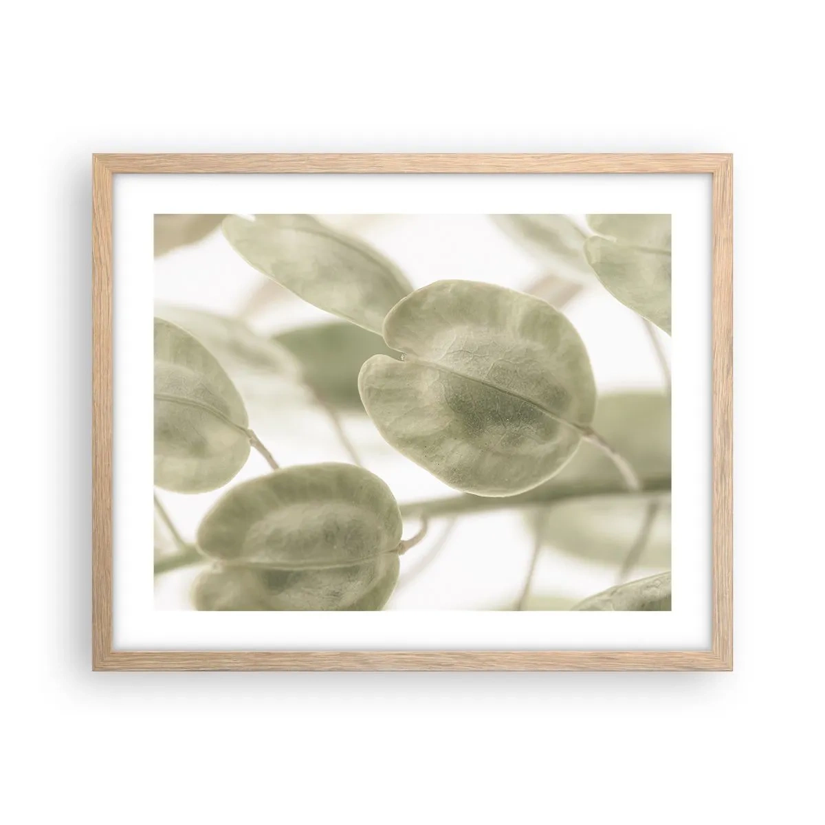 Poszter világos tölgy keretben - Kezdetben levelek voltak... - 50x40 cm