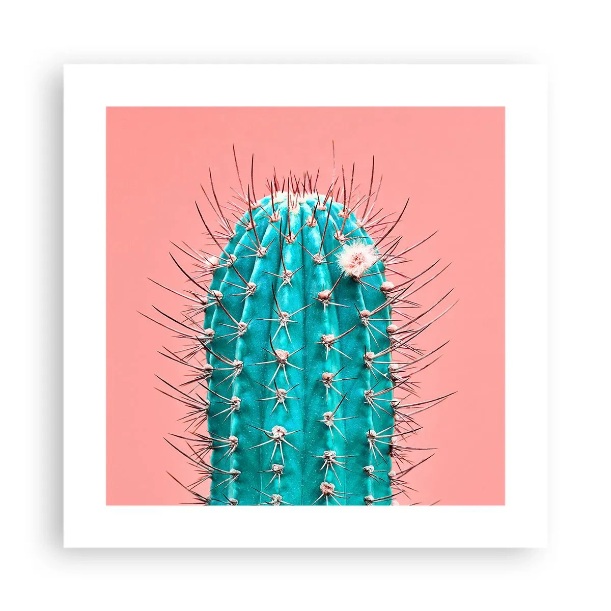 Poszter - Csak nézz - 40x40 cm