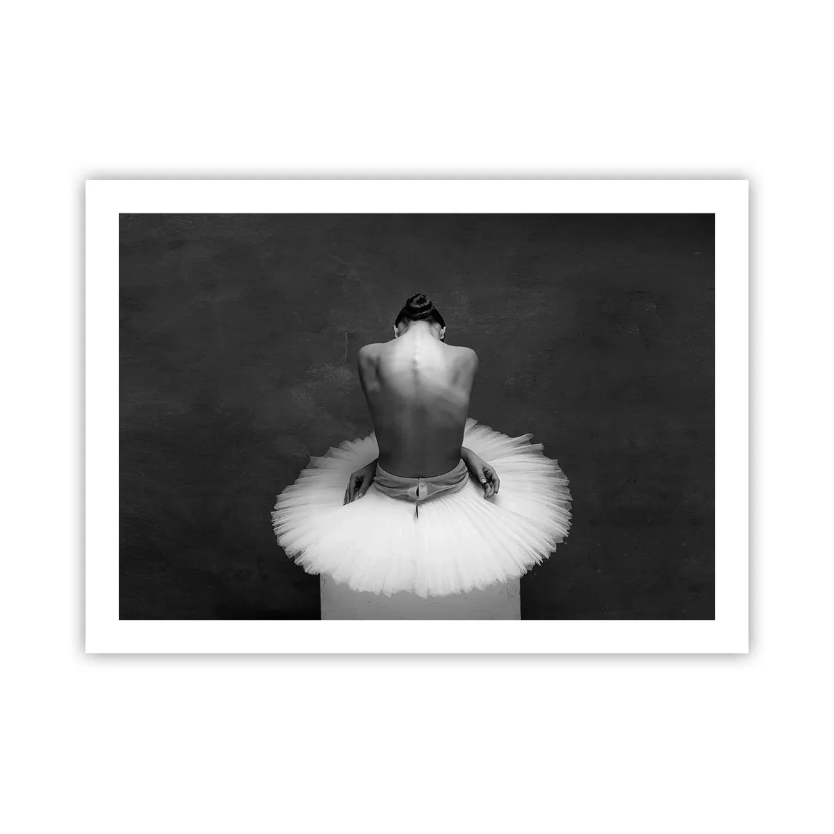 Poszter - Épp virágzik - 70x50 cm