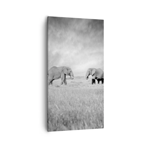 Vászonkép - A szürke gyönyörű - 55x100 cm