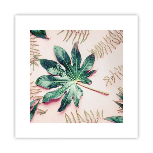 Poszter - A zöld tanulmánya a rózsaszín háttérben - 30x30 cm