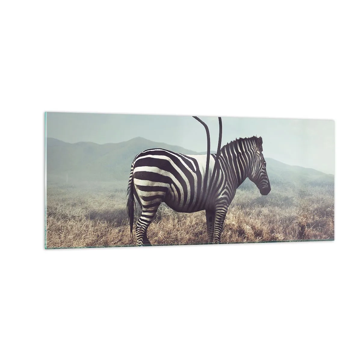 Üveg kép - Figyelem! Hiba - 100x40 cm