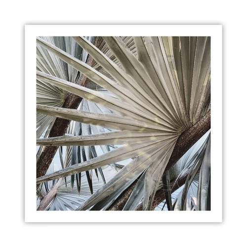 Poszter - Legyező a trópusokon - 60x60 cm