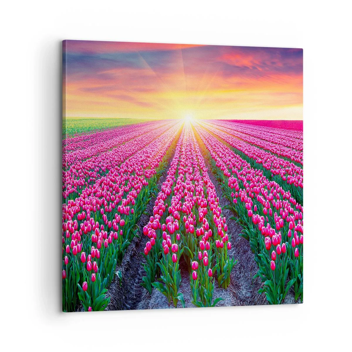 Vászonkép - Gyönyör farm - 60x60 cm