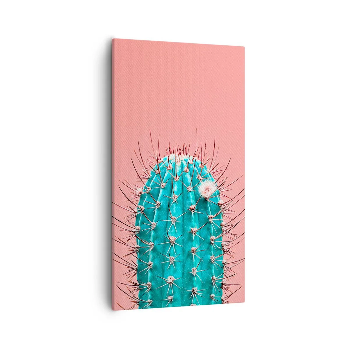 Vászonkép - Csak nézz - 55x100 cm