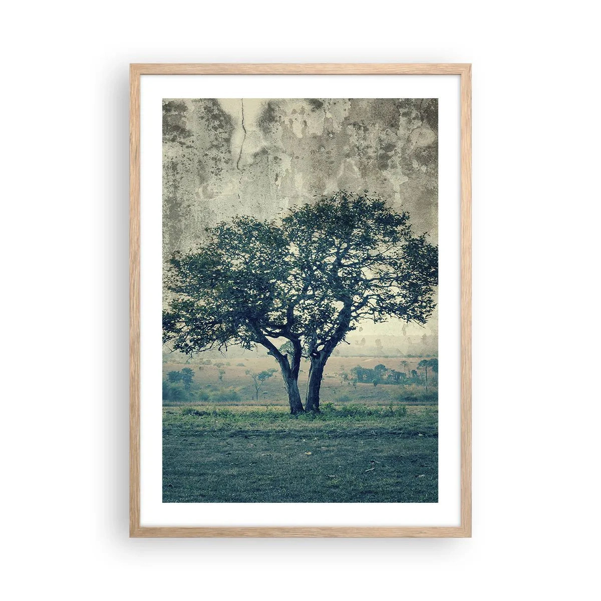 Poszter világos tölgy keretben - Almafa a kék mezőn? - 50x70 cm