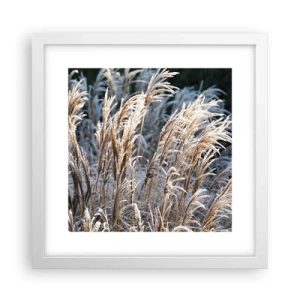 Poszter fekete keretben - Zúzmarába öltözött - 30x30 cm