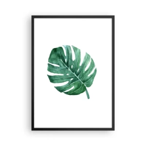 Poszter fehér keretben - Akvarell illusztrációja egy szörnyeteg levélnek fehér alapon - 50x70cm - Zöld koncepció - Modern fali dekoráció nappalihoz és hálószobához ARTTOR
