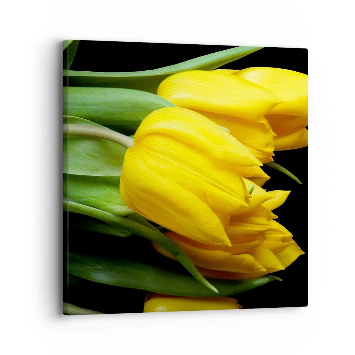 Vászonkép - Tiszta napból készült - 30x30 cm