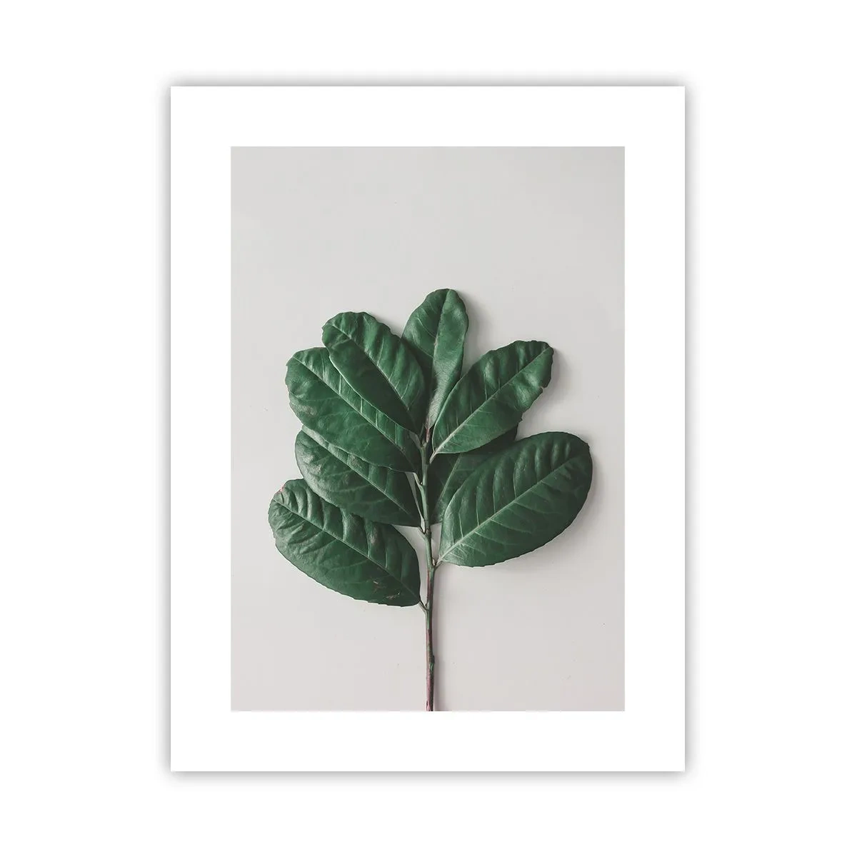 Poszter - Rajz csak a természetről - 30x40 cm