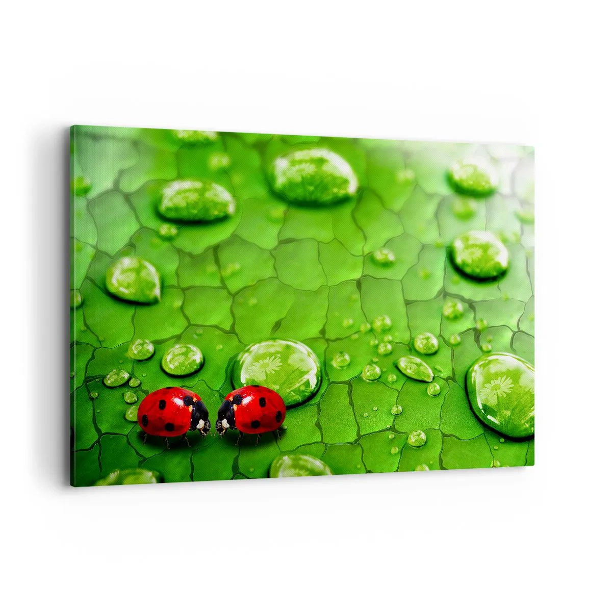 Vászonkép - Találkozás a zöldben - 120x80 cm