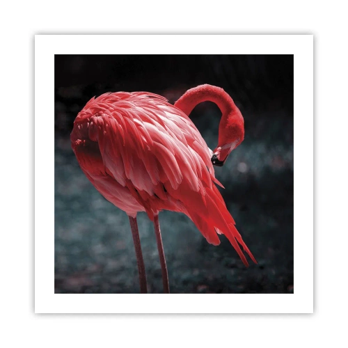 Poszter - A természet karmazsinvörös verse - 50x50 cm