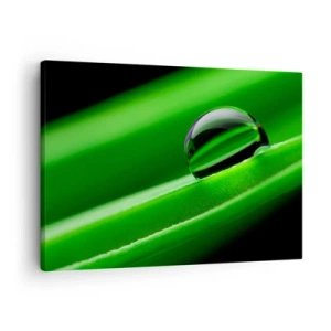 Vászonkép - Harmatcsepp közeli képe egy zöld levélen - 70x50cm - Élet közelről - Modern fali dekoráció nappalihoz és hálószobához ARTTOR