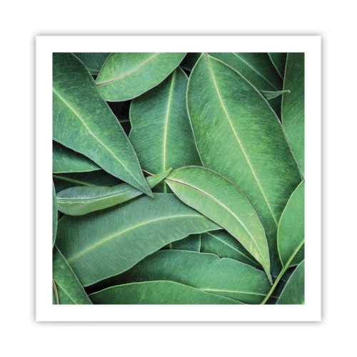 Poszter - Lédús és friss - 60x60 cm