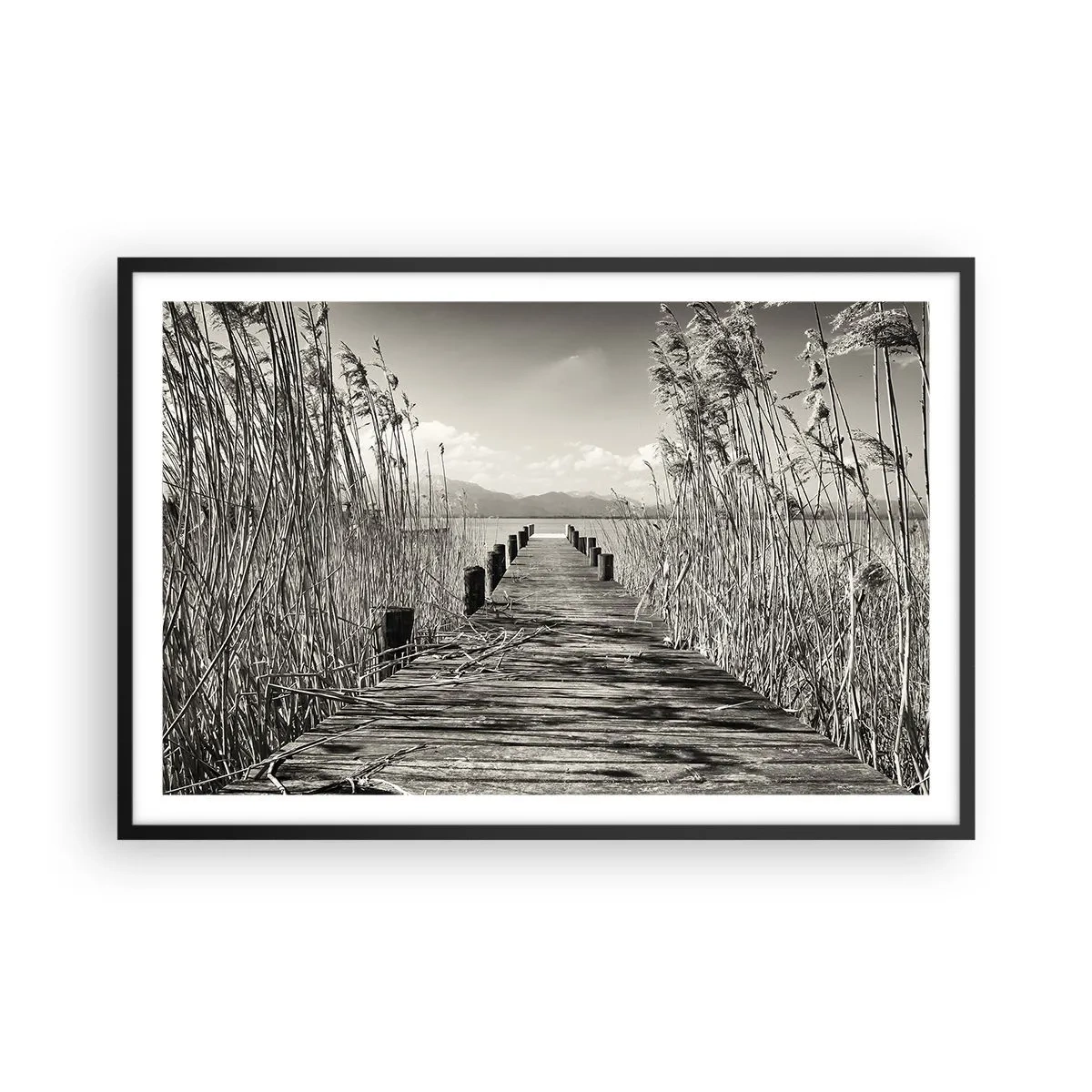 Poszter fehér keretben - A fű csendjében - 91x61 cm