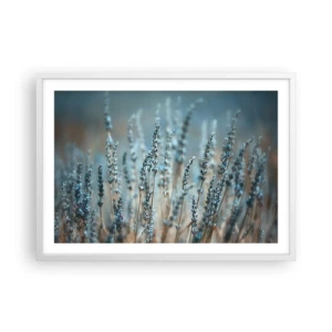 Poszter fekete keretben - Illatos szálak - 70x50 cm