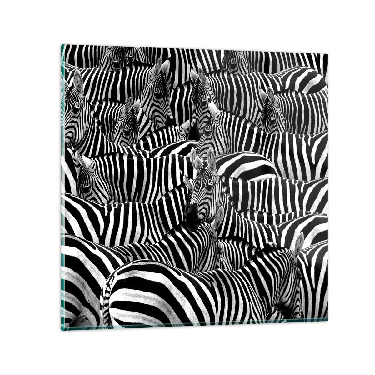 Üveg kép - Csoportos, csíkos portré - 50x50 cm