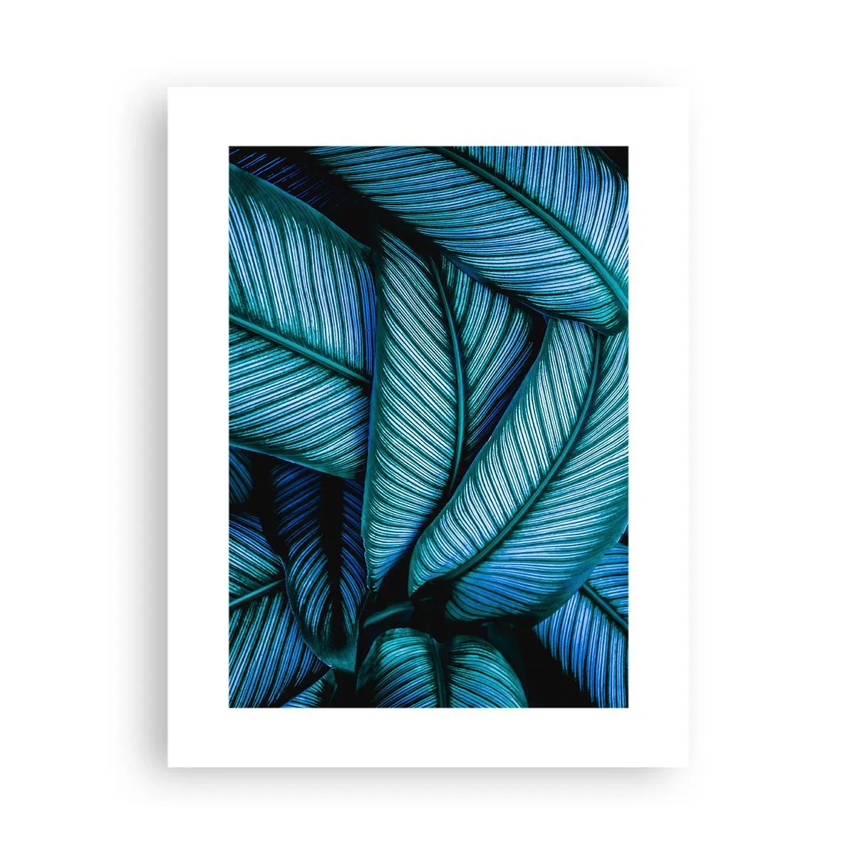 Poszter - Életvonalak - 30x40 cm