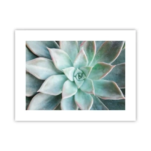 Poszter - A sivatag szíve - 40x30 cm