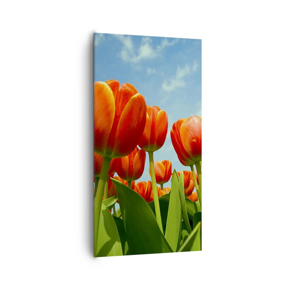 Vászonkép - A kék égen kívül semmire sincs szükségük az életükben - 65x120 cm