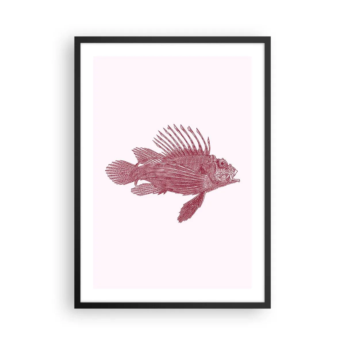 Poszter fehér keretben - Vintage stílusú halrajz világos háttéren - 50x70cm - Egzotikus vizek lakója - Modern fali dekoráció nappalihoz és hálószobához ARTTOR