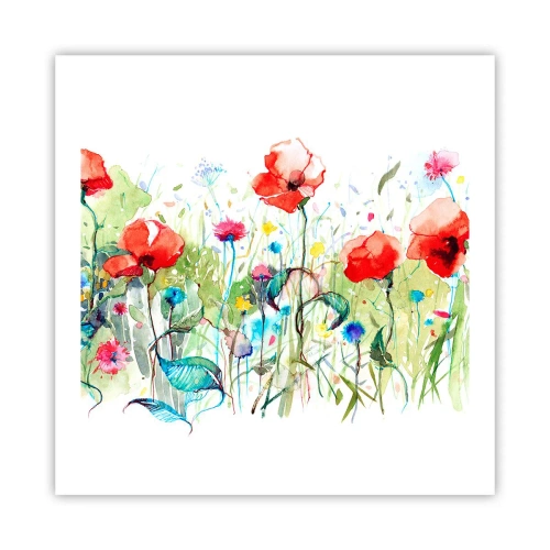 Poszter - Virágzó májusi rét - 60x60 cm
