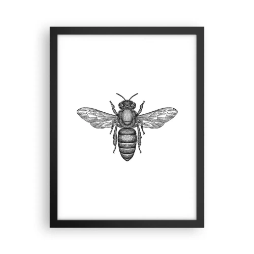 Poszter fehér keretben - Rovar portré - 30x40 cm