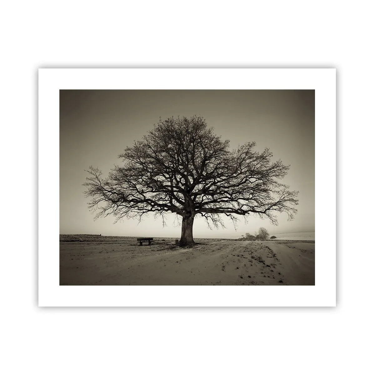 Poszter - Innen az örökkévalóságig - 50x40 cm