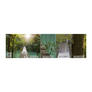 Fotótapéta Minta Premium Sand - Az azúrkék vízen át az azúrkék erdőbe - Tájkép, Dzsungel, Fa híd - 100x30 cm