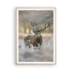 Poszter világos tölgy keretben - Friss reggel - 70x100 cm