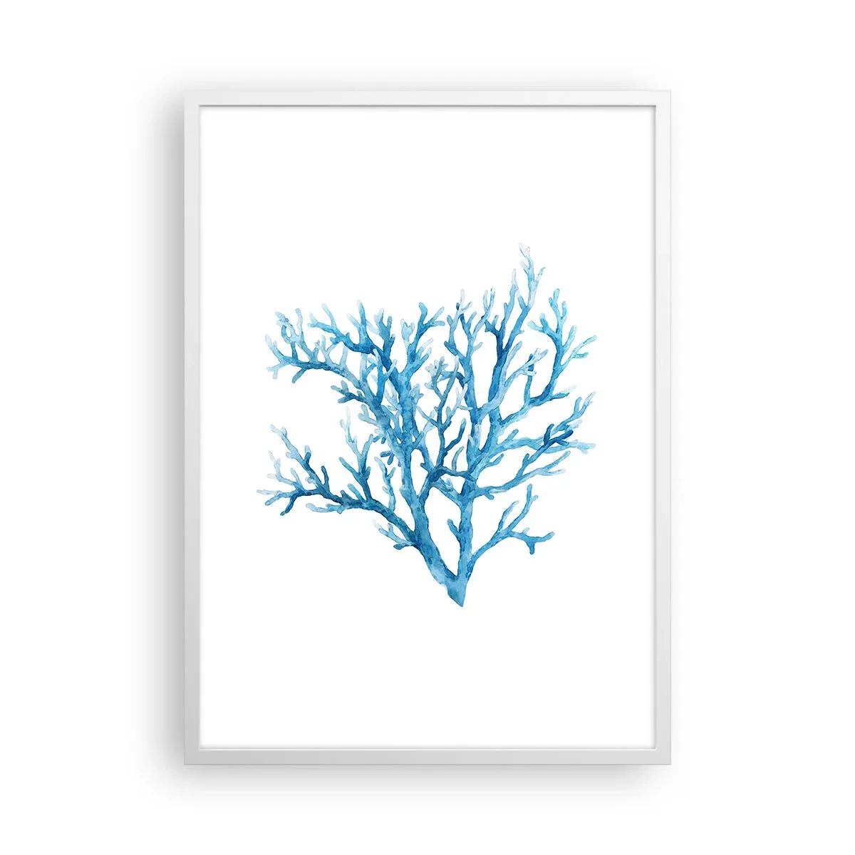 Poszter fekete keretben - Tengeri filigrán - 50x70 cm