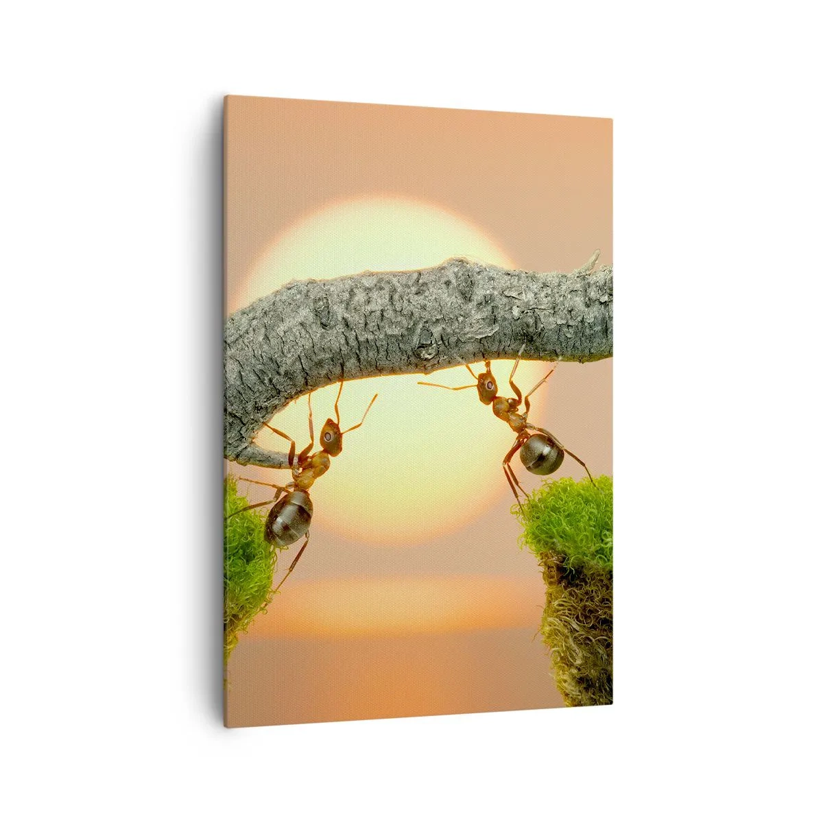 Vászonkép - Boldog, közös munka - 70x100 cm