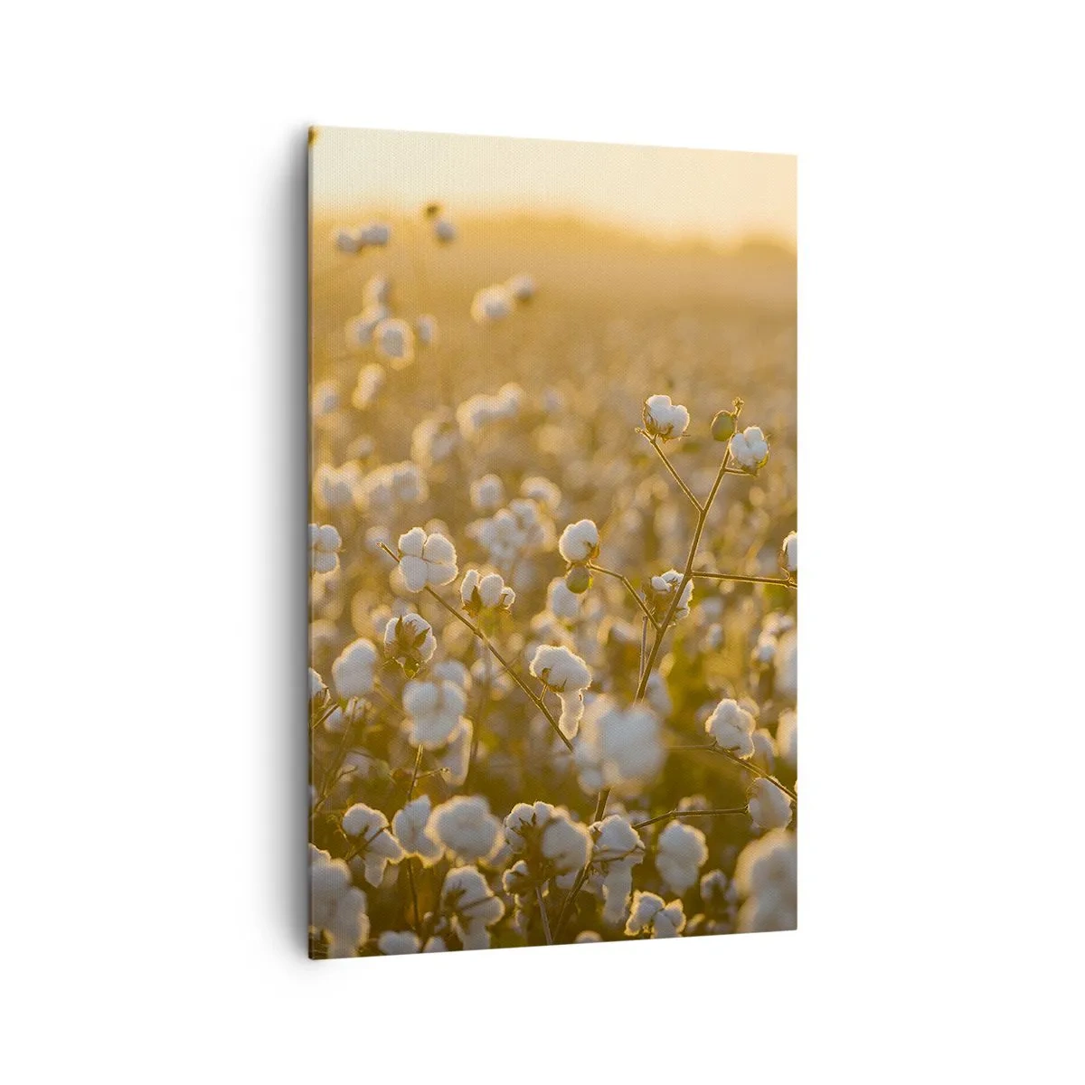 Vászonkép - Puha mező - 80x120 cm