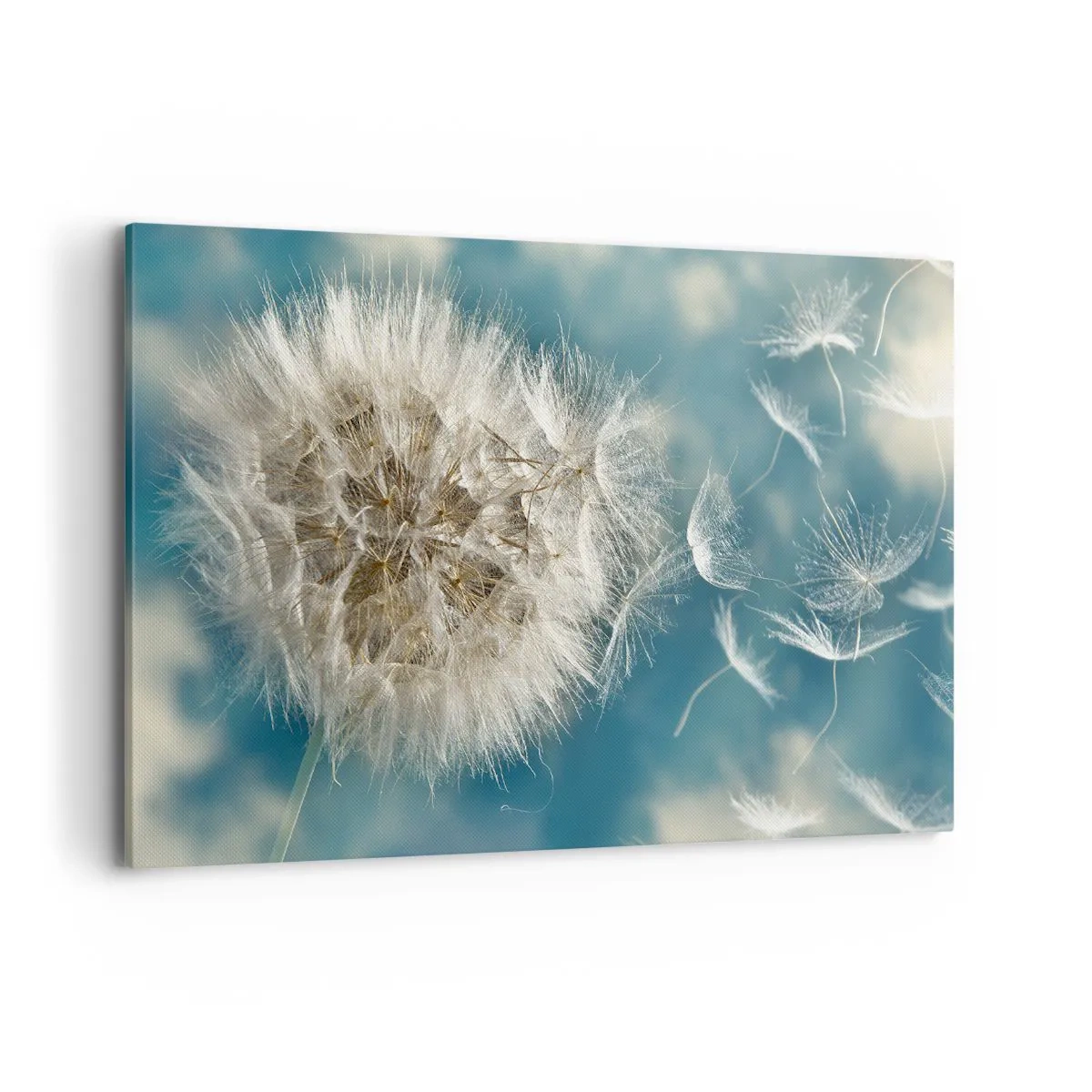 Vászonkép - Angyal lehelete - 120x80 cm