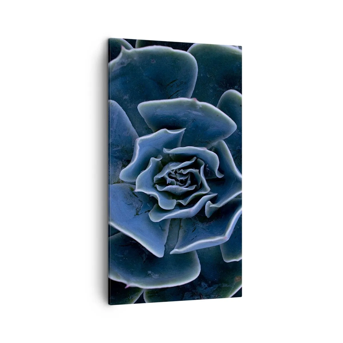 Vászonkép - A sivatag virága - 45x80 cm