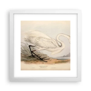 Poszter fekete keretben - Hölgy a nádasban - 30x30 cm