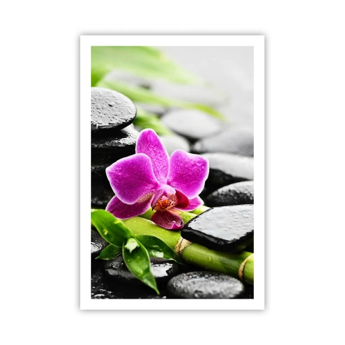 Poszter - Nyugodt egyensúlyban - 61x91 cm