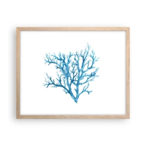 Poszter világos tölgy keretben - Tengeri filigrán - 50x40 cm