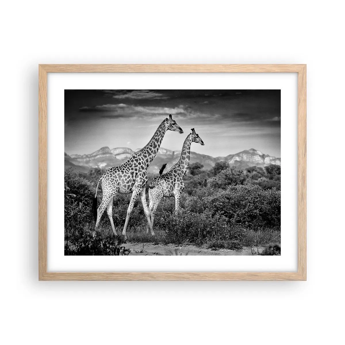 Poszter világos tölgy keretben - Magas rangok Afrikában - 50x40 cm