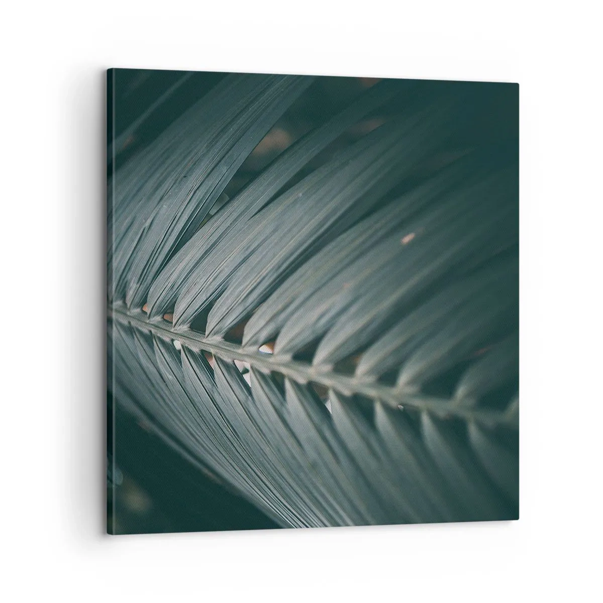 Vászonkép - A természet pontossága - 60x60 cm