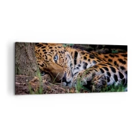 100x40 cm | Panoramikus