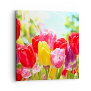 Vászonkép - Mi vagyunk, a május színei! - 30x30 cm