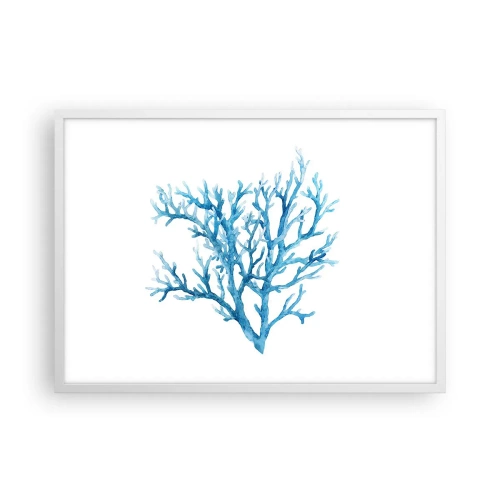 Poszter fekete keretben - Tengeri filigrán - 70x50 cm