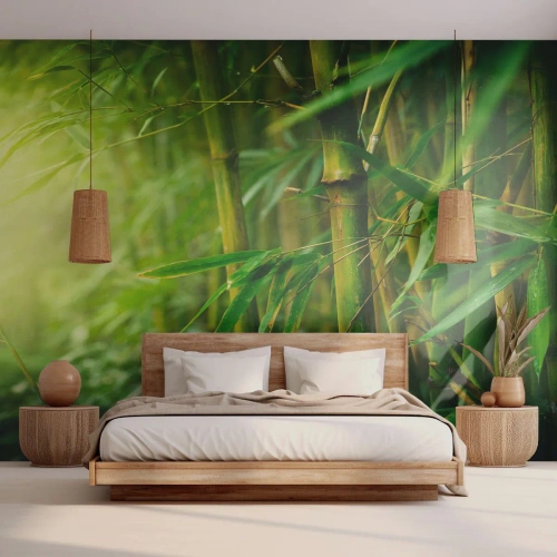 Fotótapéta Standard Eco - Zöld bambuszerdő a napsütésben - 100x70cm - Megismerni magát a zöldet - Modern fali dekoráció nappalihoz és hálószobához ARTTOR