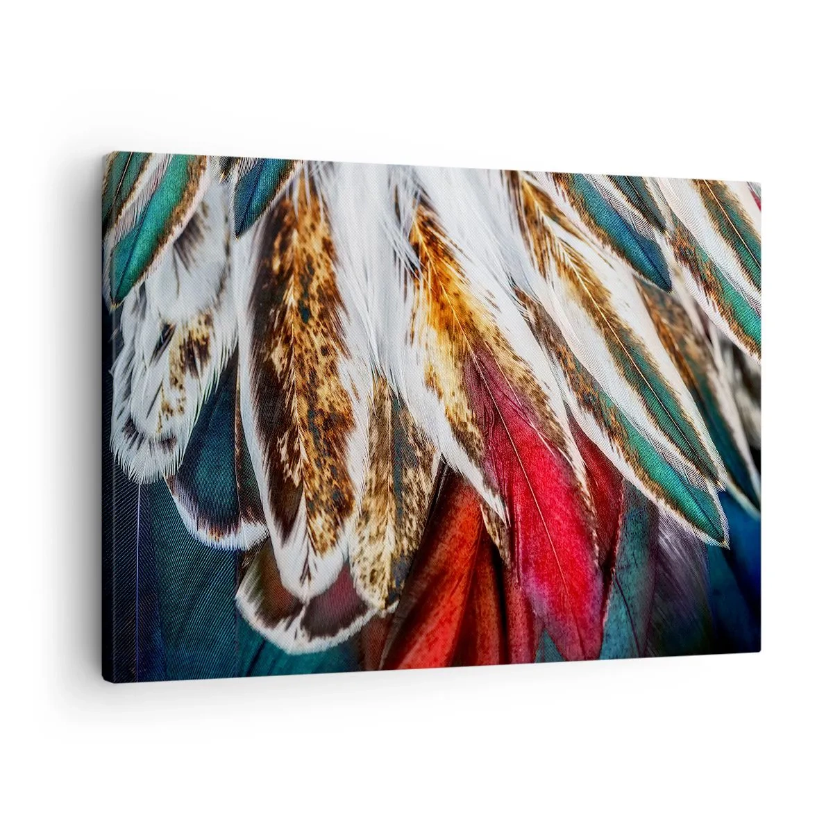 Vászonkép - Élénk, intenzív színekben pompázó többszínű tollak közeli képe - 70x50cm - A repülés titkai - Modern fali dekoráció nappalihoz és hálószobához ARTTOR