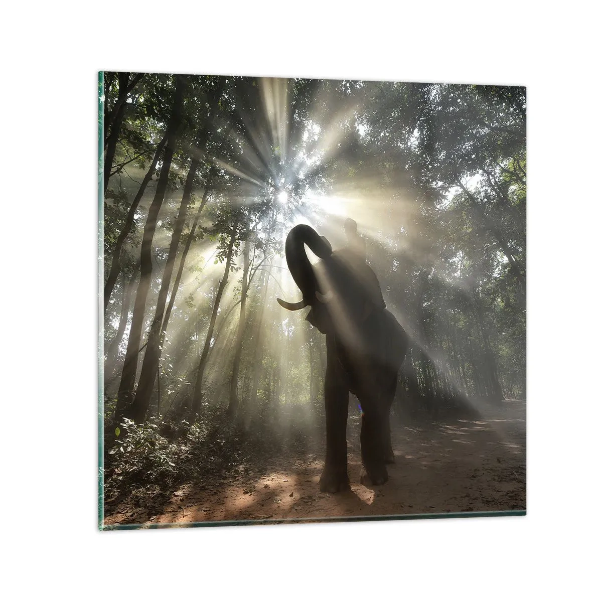 Üveg kép - A szerencsecsillag alatt - 30x30 cm