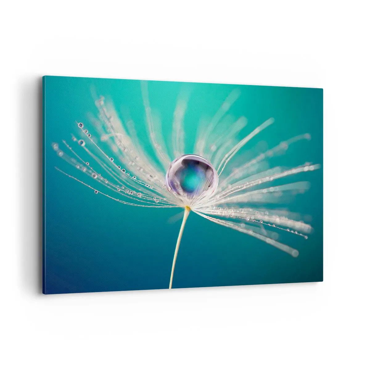 Vászonkép - Misztikus pillanat - 100x70 cm