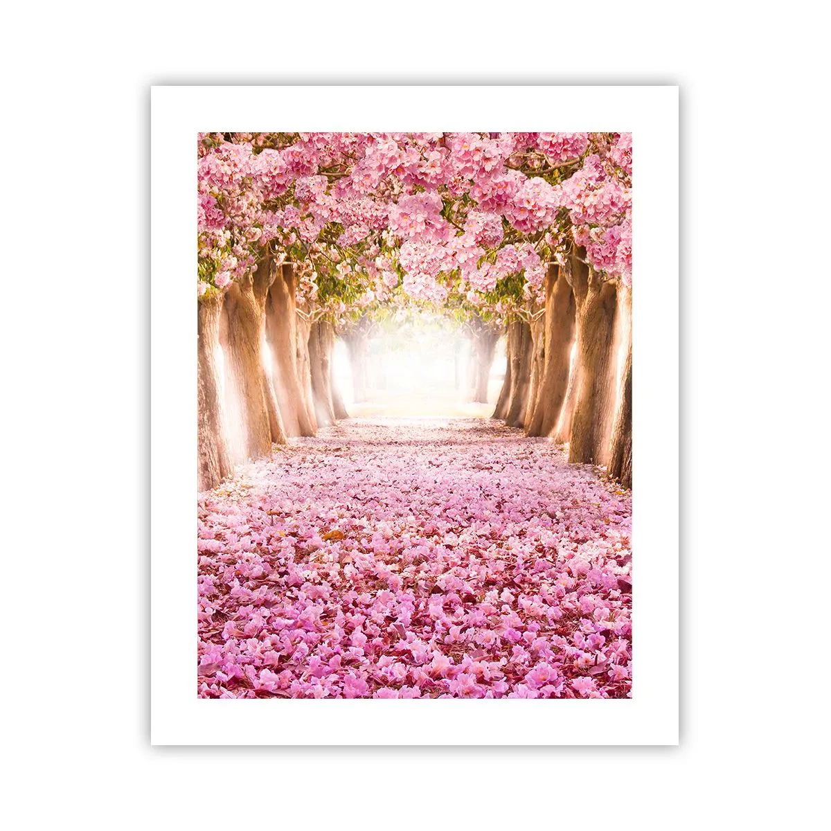 Poszter - Út a paradicsomba - 40x50 cm