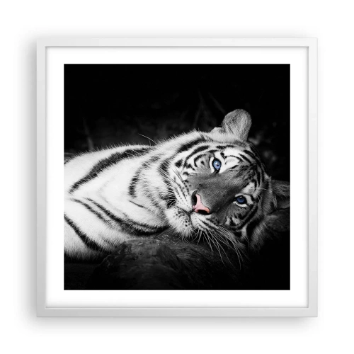 Poszter fekete keretben - Vadság és nyugalom - 50x50 cm